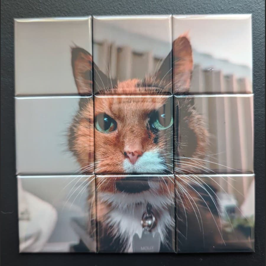 A 3×3 photo mosaic magnet set assembled on a fridge